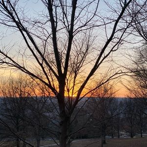 Meet your Posher, Eliza